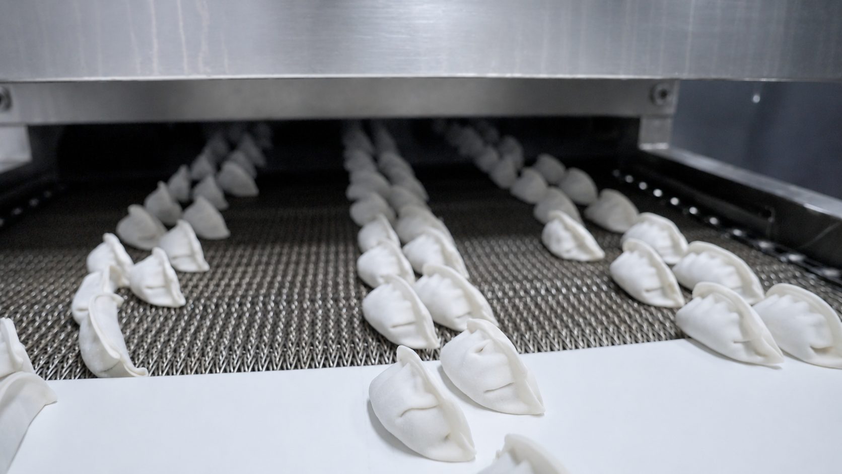 Gyoza entering the freezing tunnel